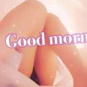 ヒメ日記 2026/02/06 08:03 投稿 まこ 男爵