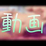 ヒメ日記 2024/12/11 21:45 投稿 みみ 男爵