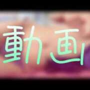 ヒメ日記 2024/12/11 21:53 投稿 みみ 男爵