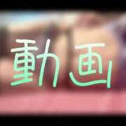 ヒメ日記 2024/12/15 12:00 投稿 みみ 男爵