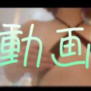 ヒメ日記 2024/12/21 12:16 投稿 みみ 男爵