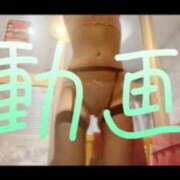 ヒメ日記 2024/12/23 21:45 投稿 みみ 男爵