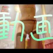 ヒメ日記 2024/12/23 21:53 投稿 みみ 男爵