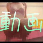 ヒメ日記 2025/01/05 12:00 投稿 みみ 男爵