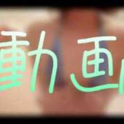 ヒメ日記 2025/01/10 12:00 投稿 みみ 男爵