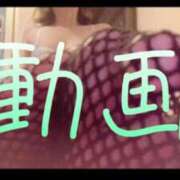 ヒメ日記 2025/01/14 12:30 投稿 みみ 男爵