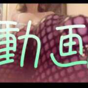 ヒメ日記 2025/01/14 12:43 投稿 みみ 男爵