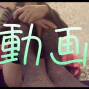 ヒメ日記 2025/03/01 12:00 投稿 みみ 男爵