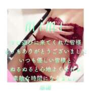 ヒメ日記 2025/03/03 22:53 投稿 みみ 男爵