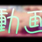 ヒメ日記 2025/03/13 22:03 投稿 みみ 男爵