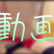 ヒメ日記 2025/03/21 12:15 投稿 みみ 男爵