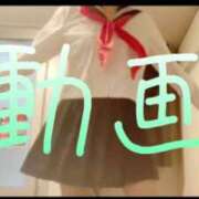 ヒメ日記 2025/04/04 12:30 投稿 みみ 男爵