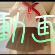 ヒメ日記 2025/04/04 12:43 投稿 みみ 男爵