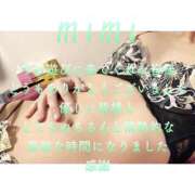 ヒメ日記 2025/04/07 22:45 投稿 みみ 男爵