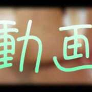 ヒメ日記 2025/04/15 12:30 投稿 みみ 男爵