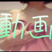 ヒメ日記 2025/04/21 12:23 投稿 みみ 男爵