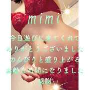 ヒメ日記 2025/04/30 18:43 投稿 みみ 男爵