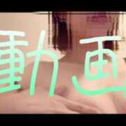 ヒメ日記 2025/05/01 12:23 投稿 みみ 男爵