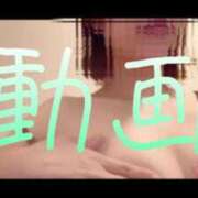 ヒメ日記 2025/05/01 12:15 投稿 みみ 男爵