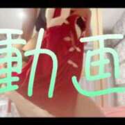 ヒメ日記 2025/05/06 12:23 投稿 みみ 男爵