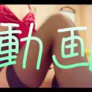 ヒメ日記 2025/05/26 12:23 投稿 みみ 男爵