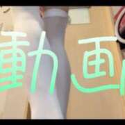 ヒメ日記 2025/06/02 12:30 投稿 みみ 男爵