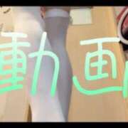 ヒメ日記 2025/06/02 12:43 投稿 みみ 男爵