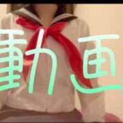 ヒメ日記 2025/06/07 12:43 投稿 みみ 男爵