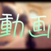 ヒメ日記 2025/06/27 12:23 投稿 みみ 男爵