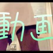 ヒメ日記 2025/07/04 12:30 投稿 みみ 男爵