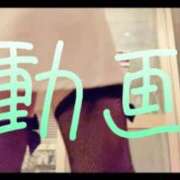 ヒメ日記 2025/07/04 12:43 投稿 みみ 男爵