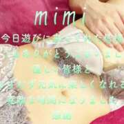 ヒメ日記 2025/07/05 22:53 投稿 みみ 男爵