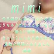 ヒメ日記 2025/07/10 18:45 投稿 みみ 男爵