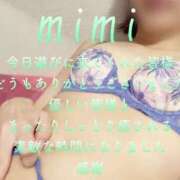 ヒメ日記 2025/07/10 18:53 投稿 みみ 男爵