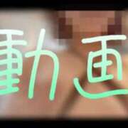 ヒメ日記 2025/07/17 21:45 投稿 みみ 男爵