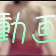 ヒメ日記 2025/07/24 12:30 投稿 みみ 男爵