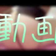 ヒメ日記 2025/07/30 12:23 投稿 みみ 男爵