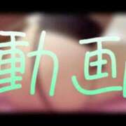 ヒメ日記 2025/07/30 12:15 投稿 みみ 男爵