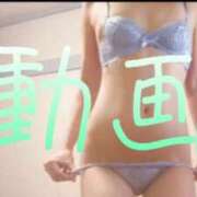 ヒメ日記 2025/08/06 12:15 投稿 みみ 男爵