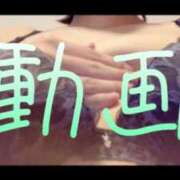 ヒメ日記 2025/08/18 21:45 投稿 みみ 男爵