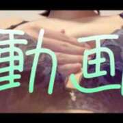 ヒメ日記 2025/08/18 22:01 投稿 みみ 男爵