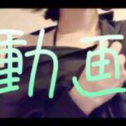 ヒメ日記 2025/09/12 12:23 投稿 みみ 男爵