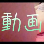 ヒメ日記 2025/09/20 12:15 投稿 みみ 男爵