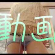 ヒメ日記 2025/09/30 21:45 投稿 みみ 男爵