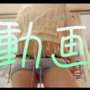 ヒメ日記 2025/09/30 22:03 投稿 みみ 男爵