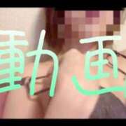 ヒメ日記 2025/10/29 21:45 投稿 みみ 男爵