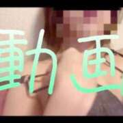 ヒメ日記 2025/10/29 21:53 投稿 みみ 男爵