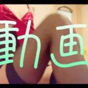 ヒメ日記 2025/11/26 12:23 投稿 みみ 男爵