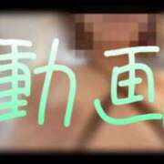 ヒメ日記 2025/12/04 12:15 投稿 みみ 男爵