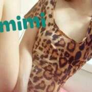 ヒメ日記 2025/12/31 12:33 投稿 みみ 男爵